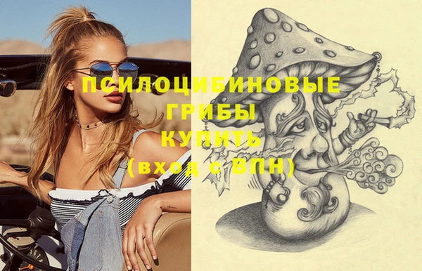 прущие грибы Верхний Тагил
