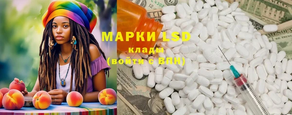 spice Вяземский