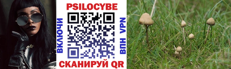 Псилоцибиновые грибы прущие грибы Данилов